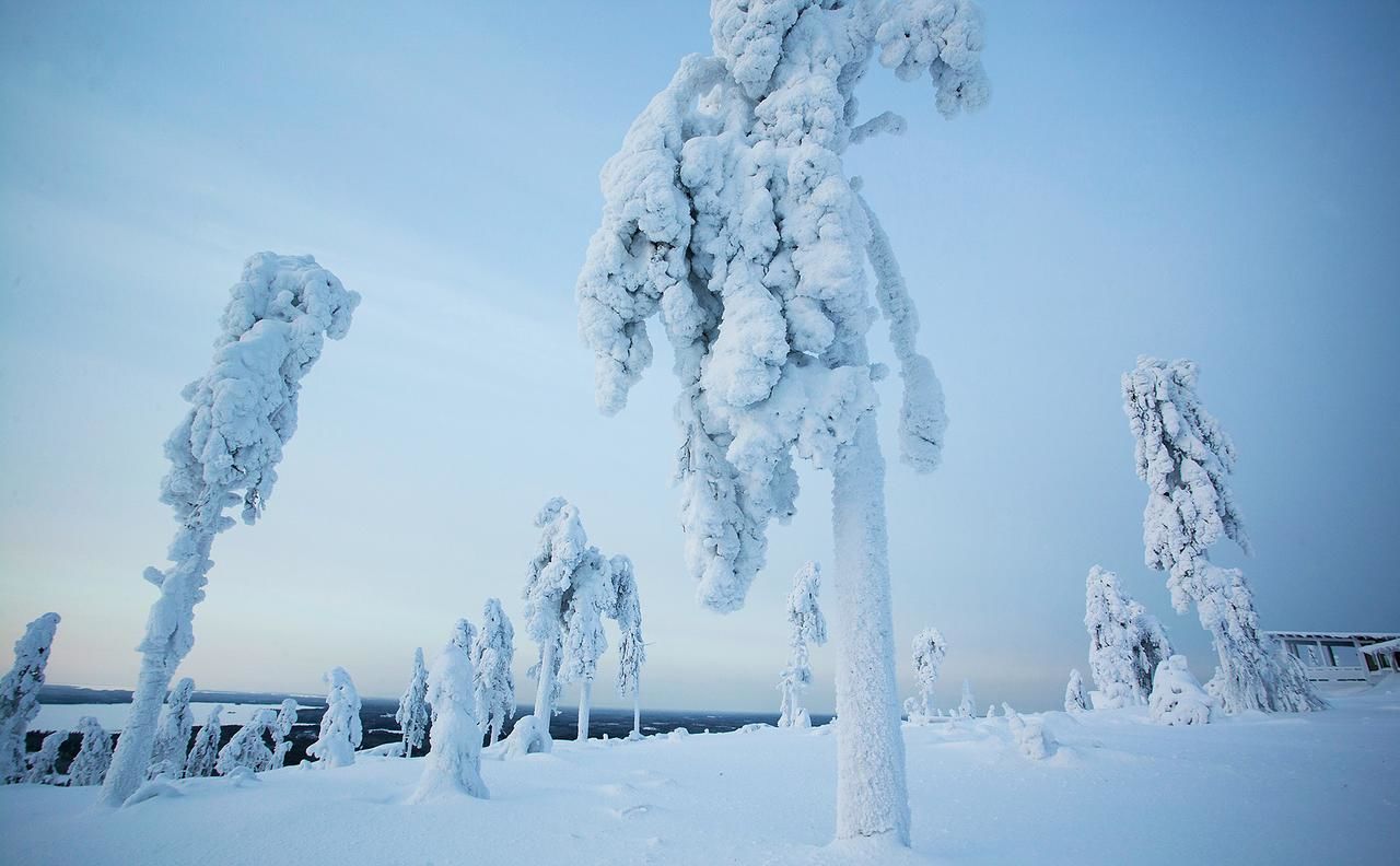 Апарт-отели Arctic Giant Paltamo-9